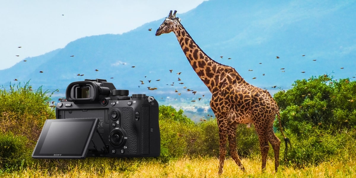 Sony A7R IIIa